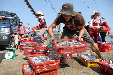 Vietnam’s reserves of sea fish close to 4.2 million tonnes