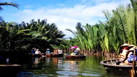Vegetable Village attracts visitors to Hoi An 