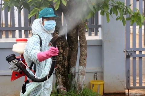 Central localities work to tackle dengue fever 