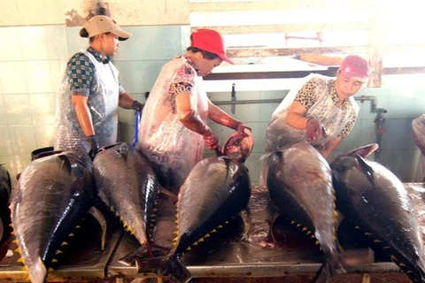 Tuna export shows sign of recovery