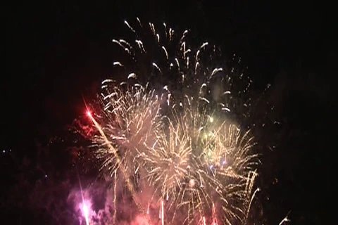 Da Nang launches int’l fireworks logo contest 