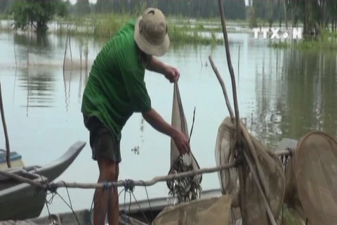 Late floods affect Mekong Delta residents 