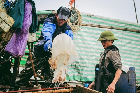 Hai Hoa fishermen and their traditional way of life
