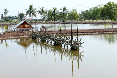 Ca Mau looks at ways to support local fishery