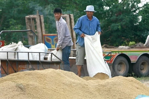 Thailand works to boost rice exports