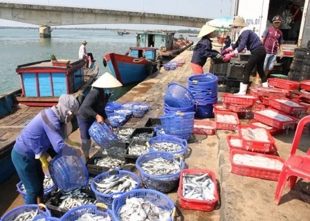 Quang Tri: environmental victims receive compensation
