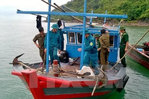 Quang Ngai promotes off-shore fishing