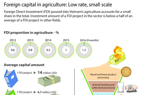 Foreign capital in agriculture: Low rate, small scale