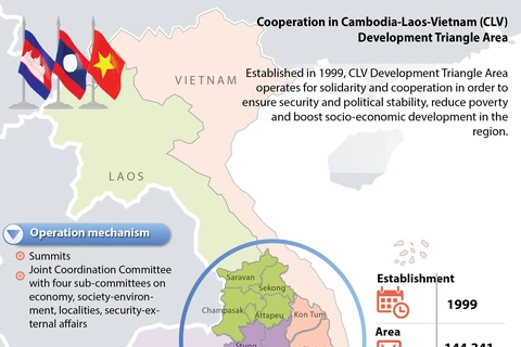 Cooperation in CLV Development Triangle Area