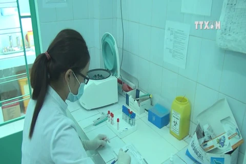 Khanh Hoa beefs up prevention against Zika virus, dengue