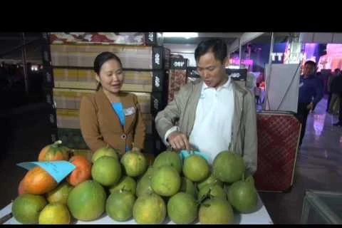 Int’l trade fair underway in Thanh Hoa