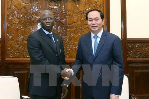  President receives new WB Country Director in Vietnam