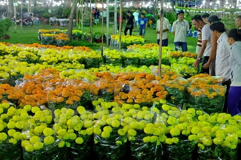 Tet flower festival opens in HCM City