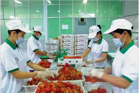 Vietnamese fruits gradually conquer foreign markets