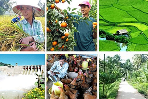Japan, Vietnam bolster link in agriculture