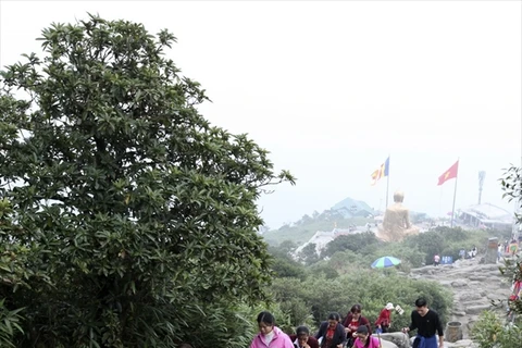 Pilgrimage to Yen Tu - The Buddhist Land