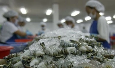Shrimp exports expected to reach 5 bln USD by 2020