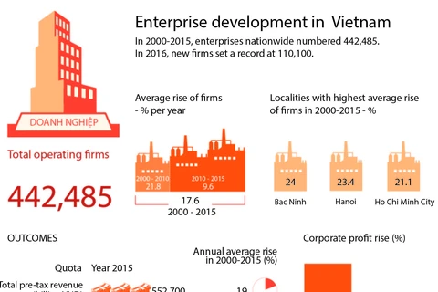 Enterprise development in Vietnam