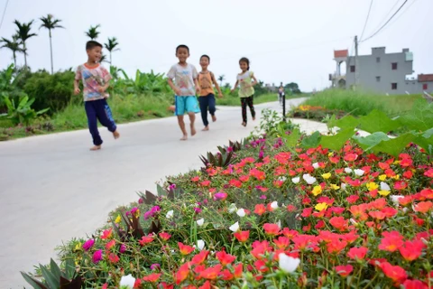 Flowers blossom along countryside roads in Nam Dinh