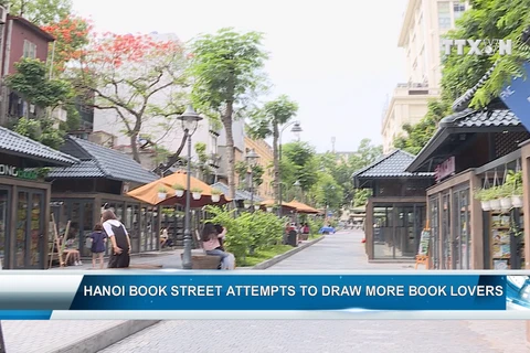 Hanoi Book Street attempts to draw more book lovers