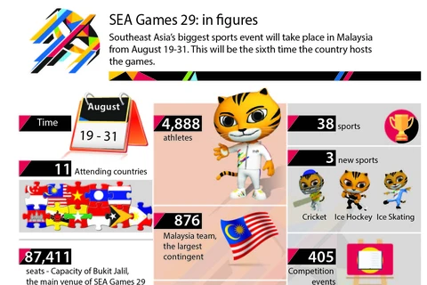 SEA Games 29 in figures