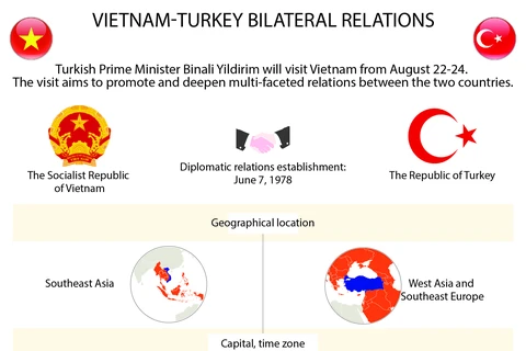 Vietnam-Turkey bilateral relations