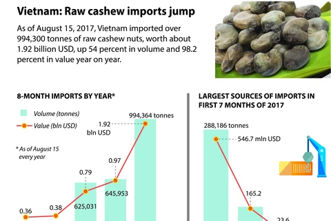 Vietnam: Raw cashew imports jump 