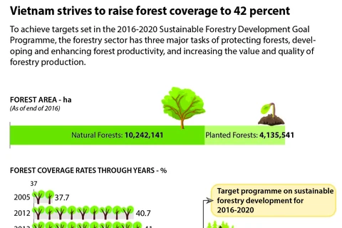 Vietnam strives to raise forest coverage to 42 percent