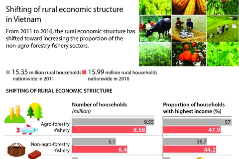 Shifting of rural economic structure in Vietnam