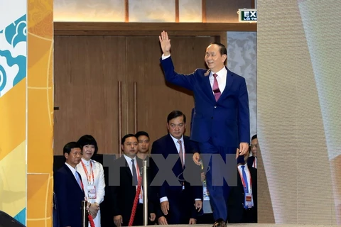 APEC CEO Summit 2017 opens in Da Nang city
