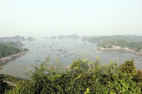 Lively experience at Cat Ba World Biosphere Reserve 