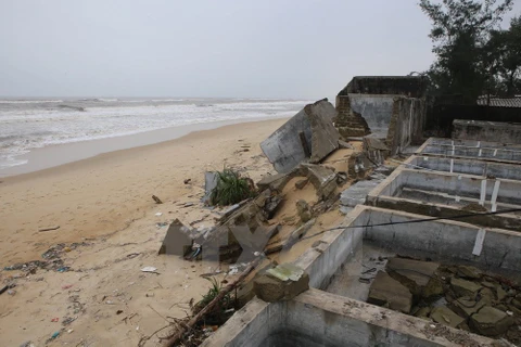 More severe coastal erosion spotted in Thua Thien - Hue