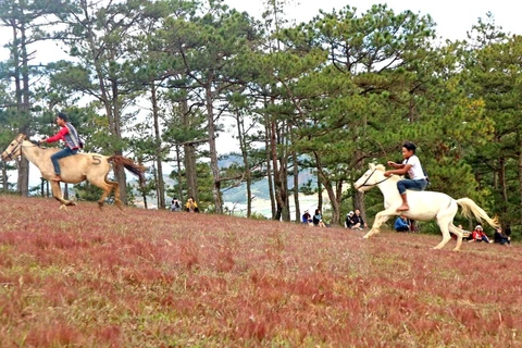 Spectacular horse racing without saddles on Da Lat’s pink grass hill