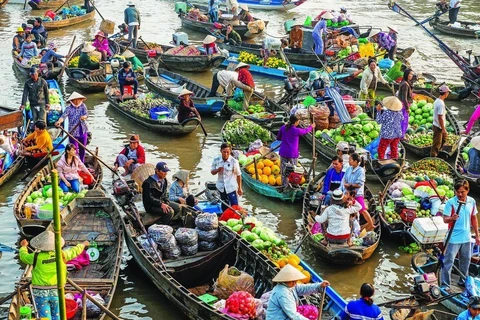 Adjustments to Mekong Delta master plan approved
