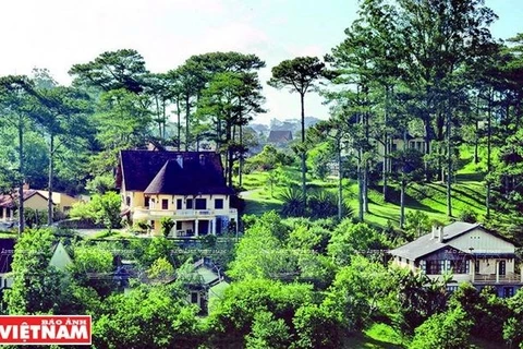 Stunning French-styled villas in Da Lat’s pine forest
