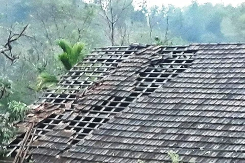 Hailstorms destroy hundreds of houses in Nghe An