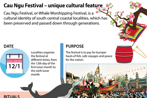 Cau Ngu Festival – unique cultural feature of coastal areas