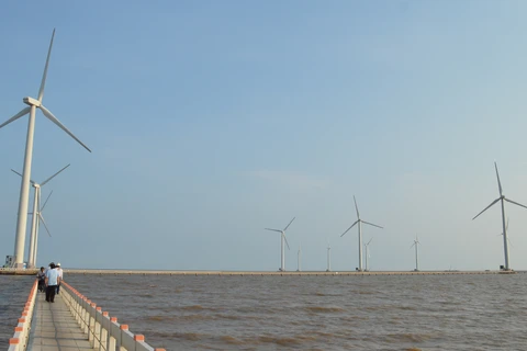 Wind farm – emerging tourist attraction in Bac Lieu
