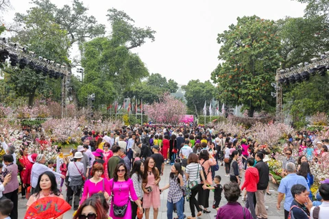 Japanese cherry blossom festival fascinates Hanoi locals