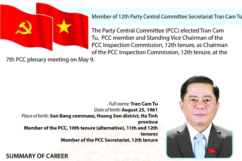 Member of 12th Party Central Committee Secretariat Tran Cam Tu