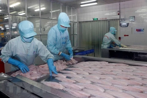Tra fish export to US increases despite anti-dumping measures