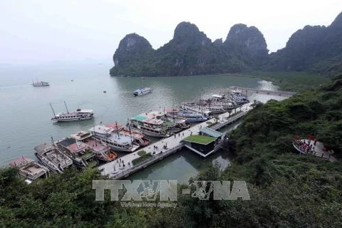 Programme promotes actions for green Ha Long