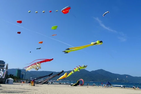 Colourful kite festival held in Da Nang