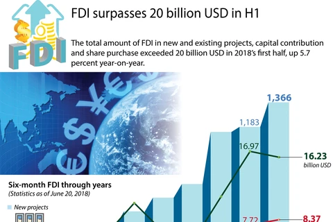 FDI surpasses 20 billion USD in H1