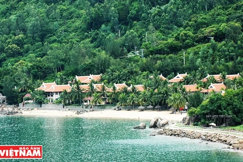 Bai Rang beach in Da Nang - the harmony of forest and sea