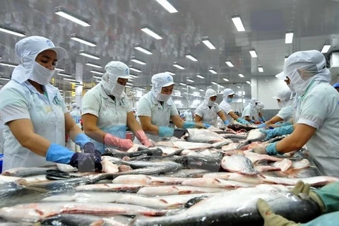 VASEP urges strict quality control of tra fish exported to China