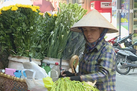 A glimpse at female street vendors in Hanoi