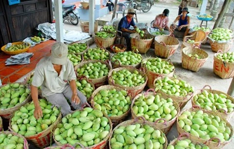 Fruit, veggie exports likely to earn Vietnam 4.7 billion USD in 2018