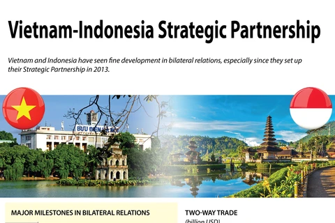 Vietnam-Indonesia Strategic Partnership