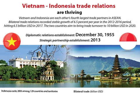 Vietnam and Indonesia trade relations are thriving 